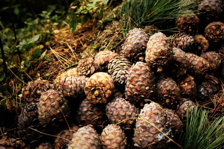 shutterstock_1681524343