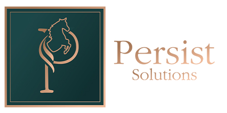 Persist Solution